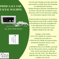 8000E Galvanic Machine Description